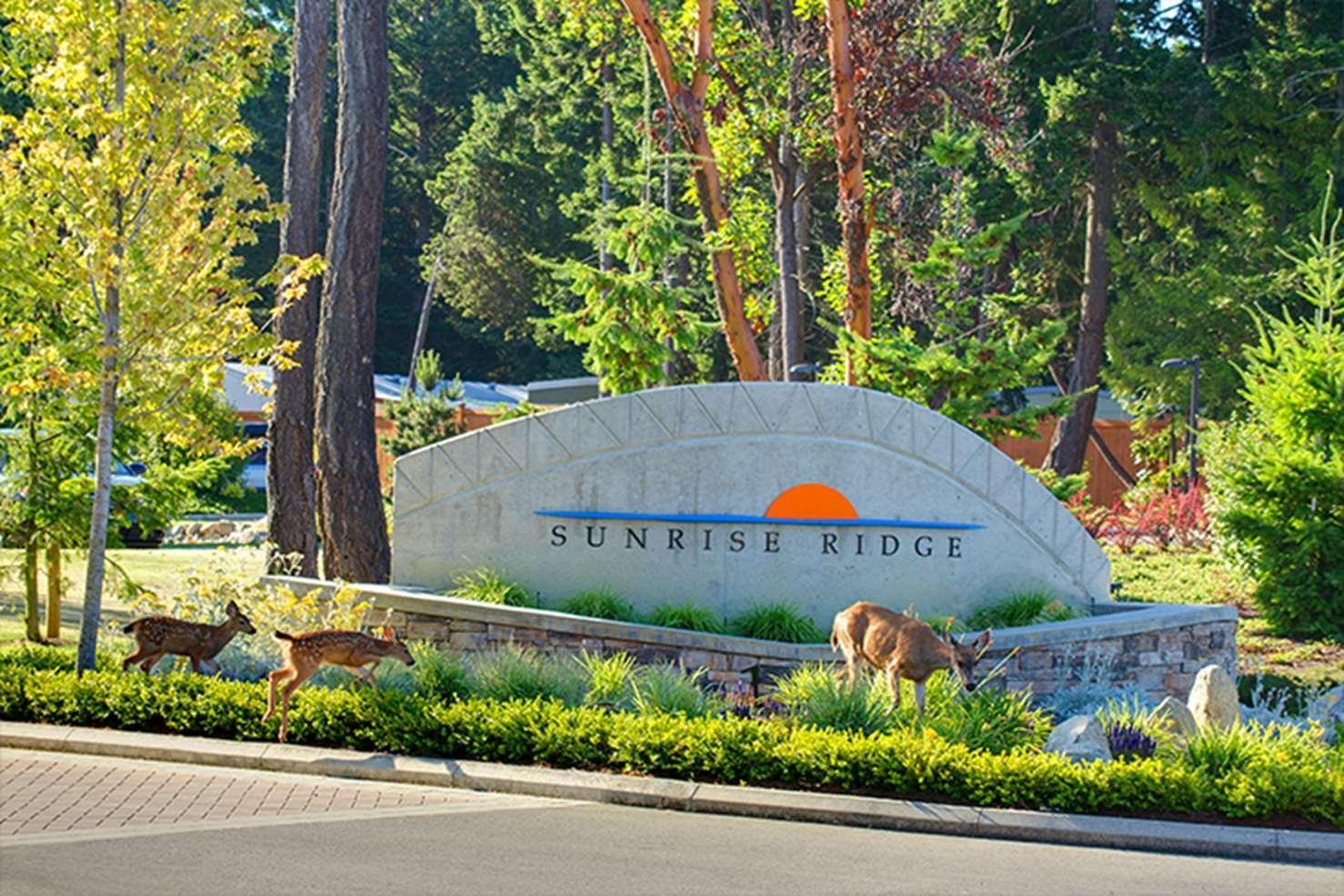 Sunrise Ridge Waterfront Resort Parksville Exterior foto